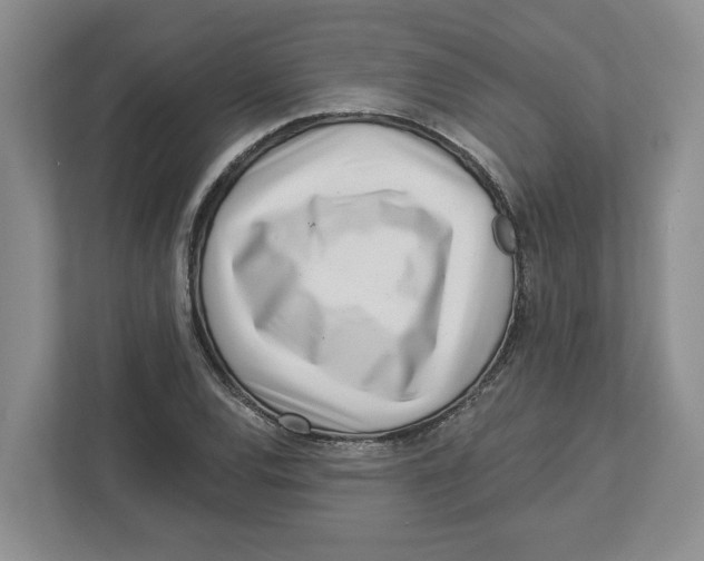 X0000112461120200909141053