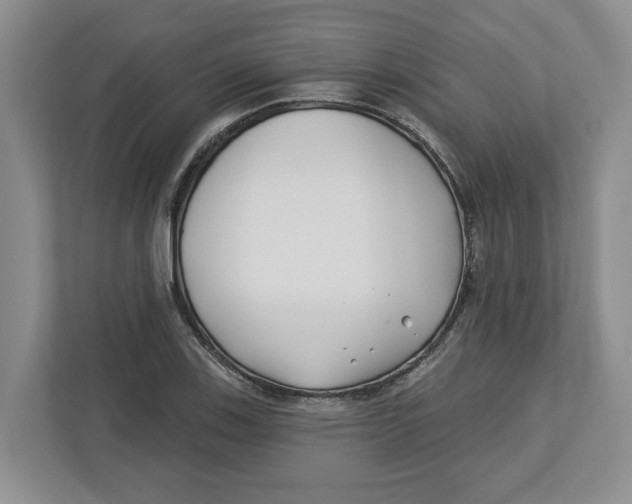 X0000112461123200909141053