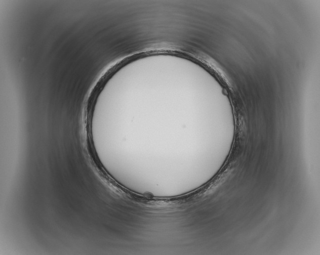 X0000112461124200909141053