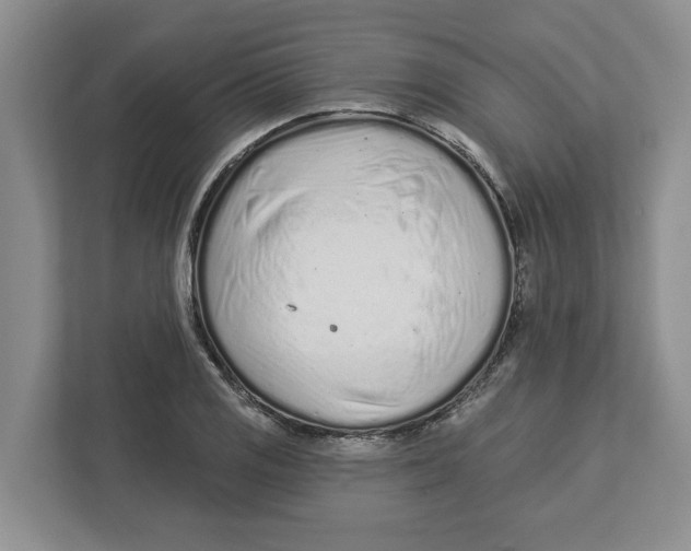 X0000112461125200909141053