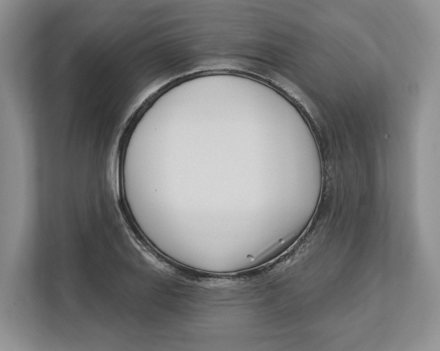 X0000112461127200909141053