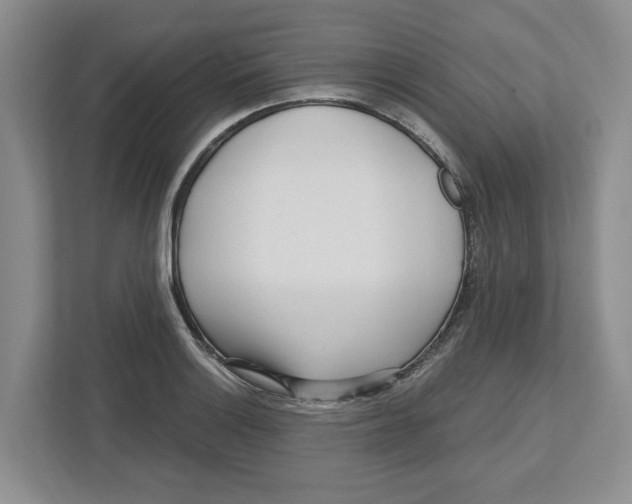 X0000112461132200909141053