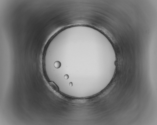 X0000112461134200909141053