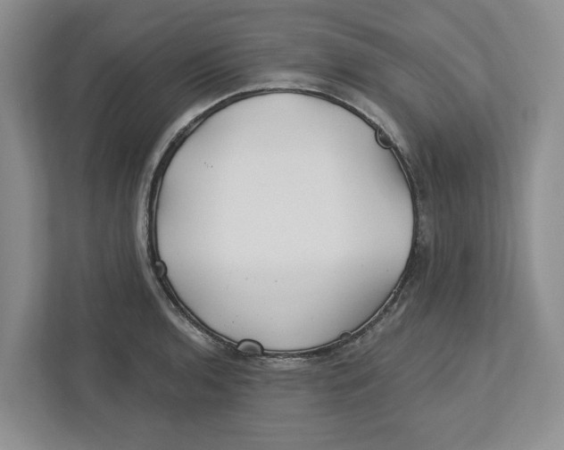 X0000112461136200909141053