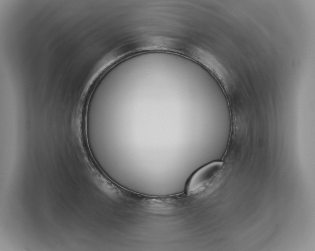 X0000112461138200909141053