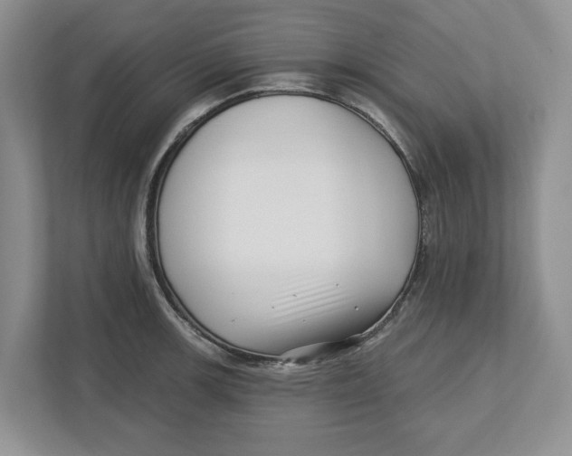 X0000112461139200909141053