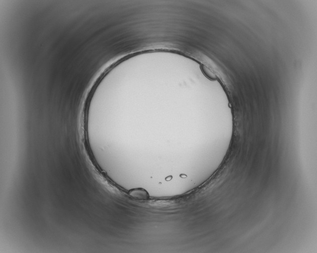 X0000112461140200909141053