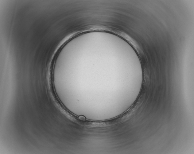 X0000112461142200909141053