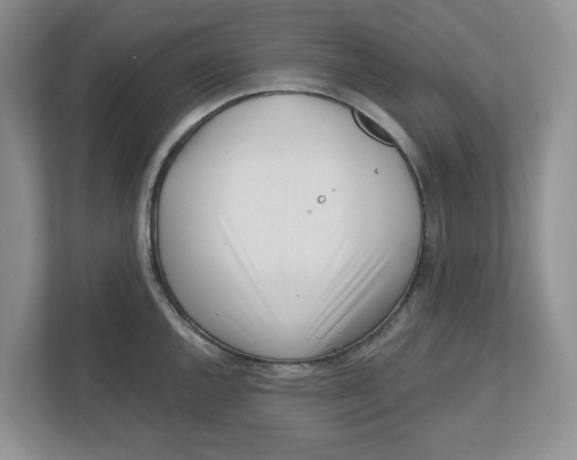 X0000112461144200909141053
