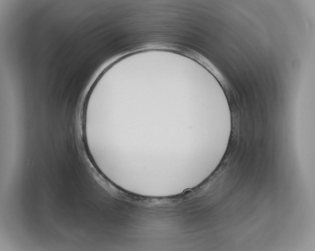 X0000112461148200909141053