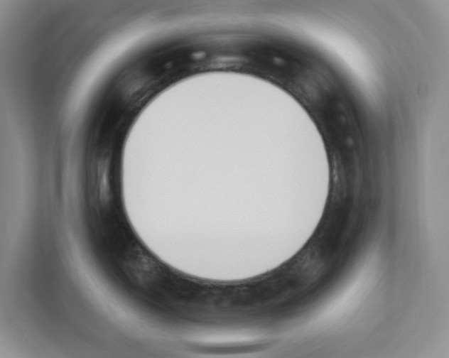 X0000112461150200909141053