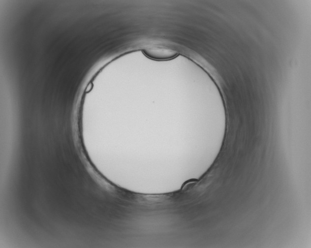 X0000112461152200909141053