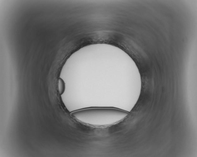 X0000112461153200909141052