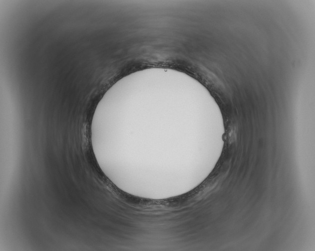 X0000112461156200909141052