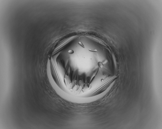 X0000112461157200909141052