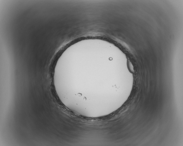 X0000112461160200909141052