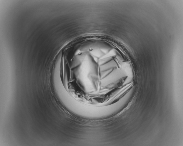 X0000112461162200909141052