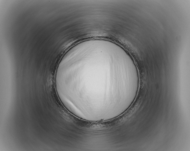 X0000112461169200909141052