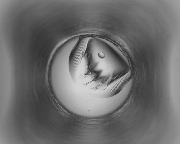 X0000112461172200909141052