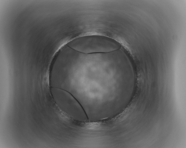 X0000112461173200909141052