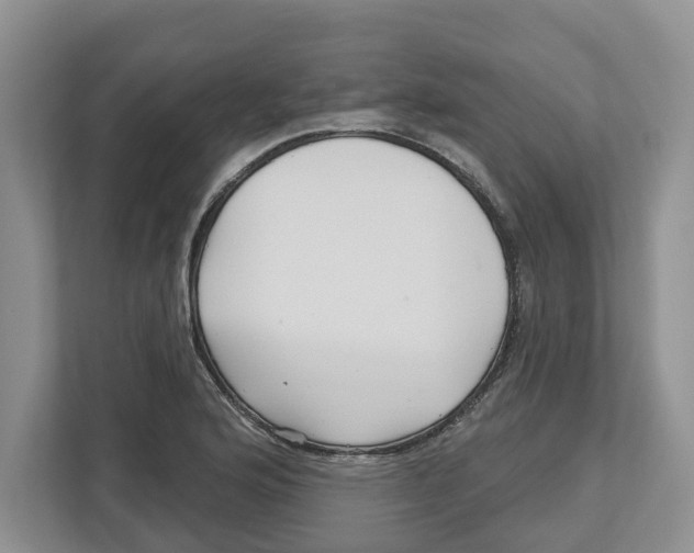 X0000112461176200909141052