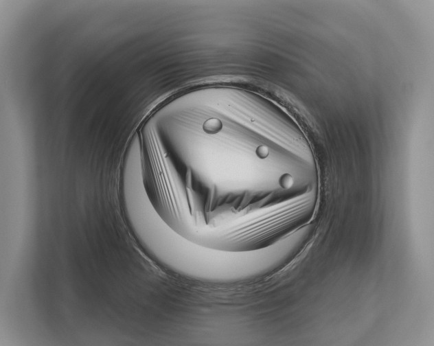 X0000112461177200909141052