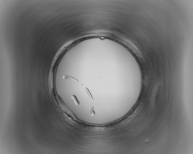 X0000112461180200909141052