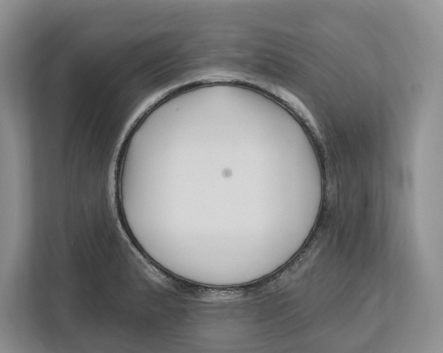 X0000112461183200909141052