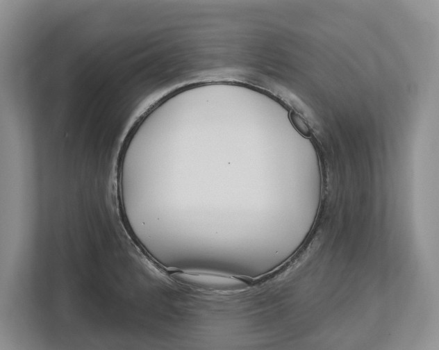 X0000112461184200909141052