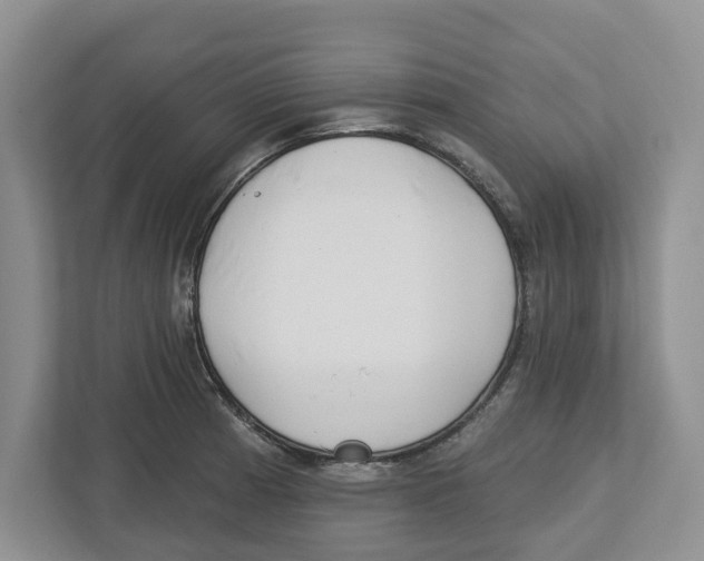 X0000112461185200909141052