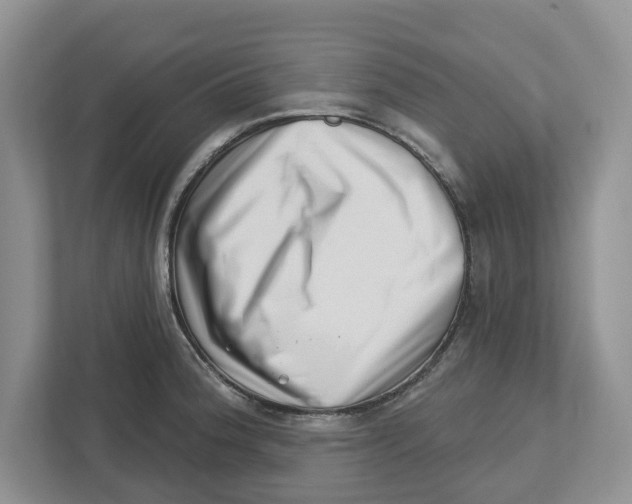 X0000112461188200909141052