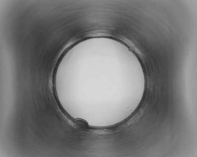 X0000112461189200909141052
