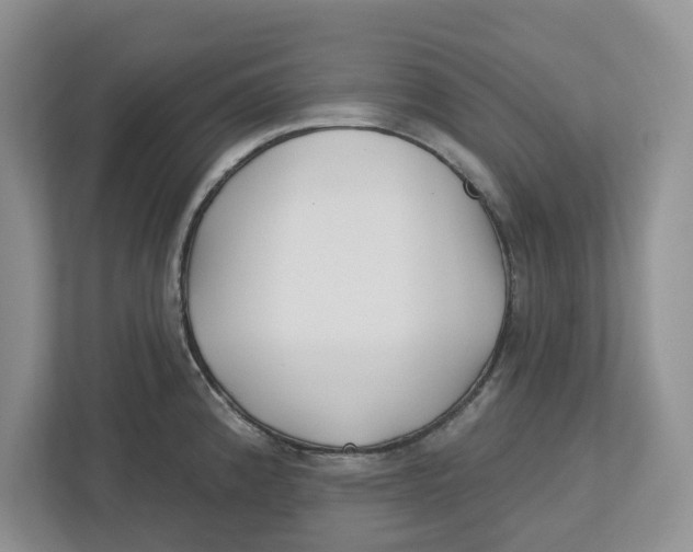 X0000112461192200909141052