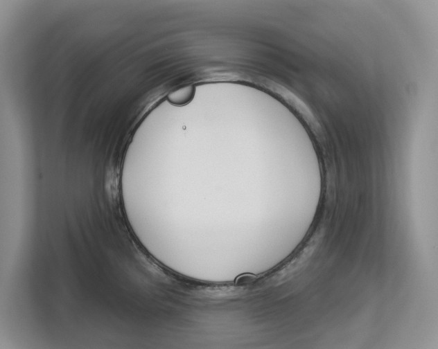 X0000112461193200909141052
