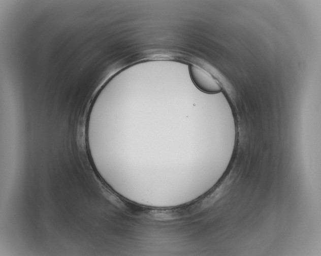 X0000112461194200909141052