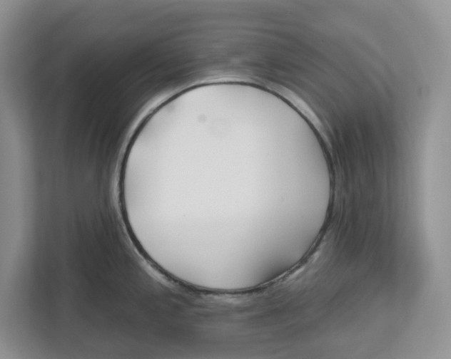 X0000112461197200909141052
