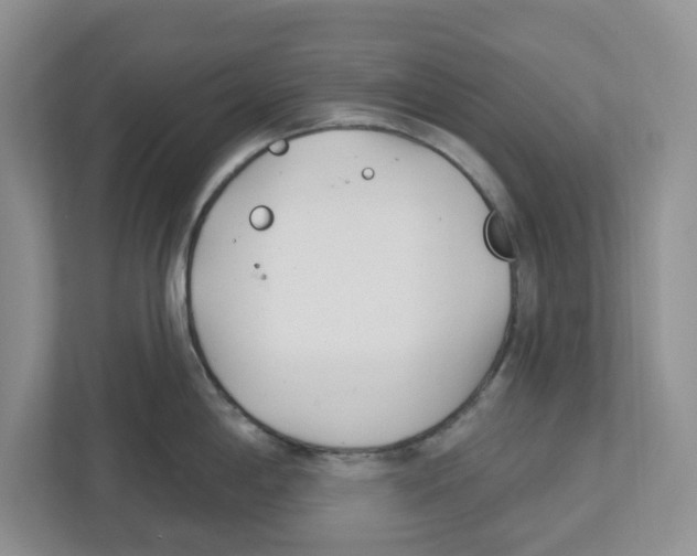 X0000112461198200909141052