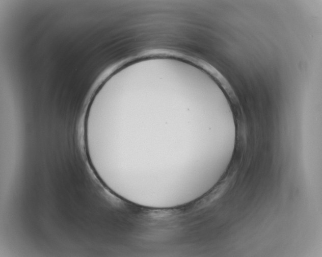 X0000112461199200909141052