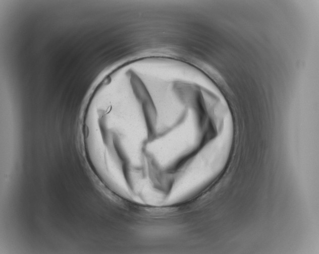 X0000112461200200909141052