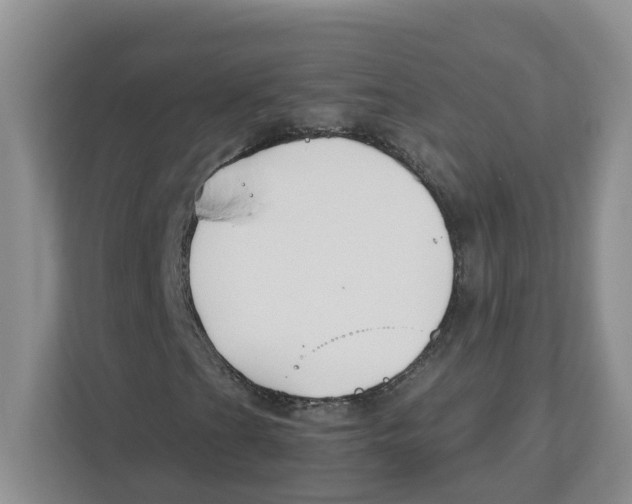 X0000112461201200909141051