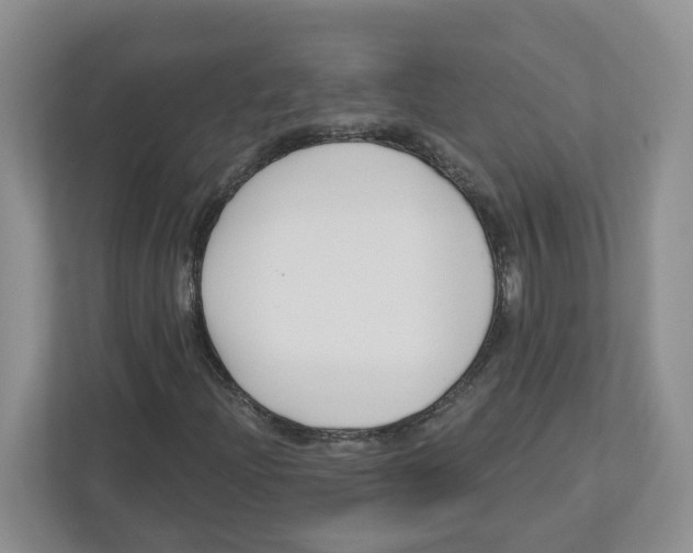 X0000112461204200909141051