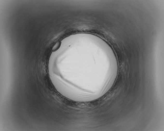 X0000112461205200909141051