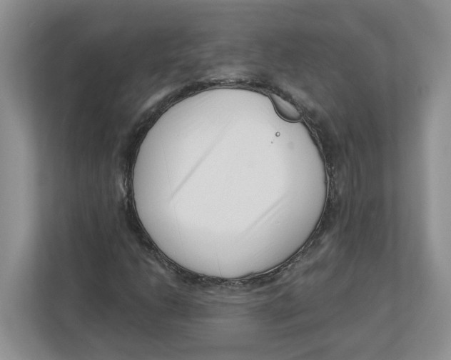 X0000112461206200909141051