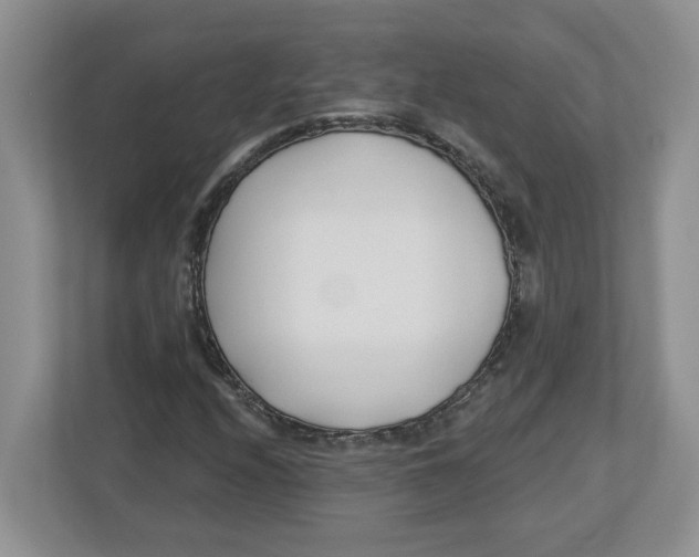 X0000112461208200909141051