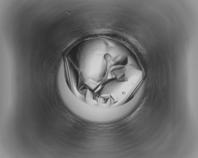 X0000112461209200909141051