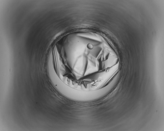 X0000112461210200909141051