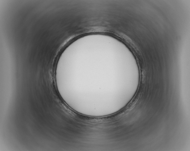 X0000112461212200909141051