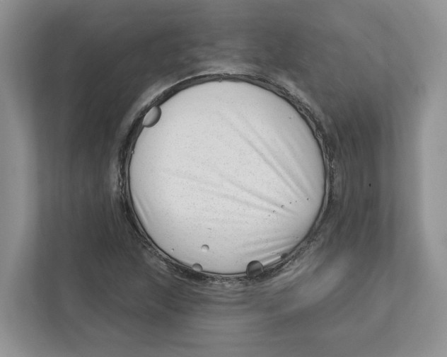 X0000112461215200909141051