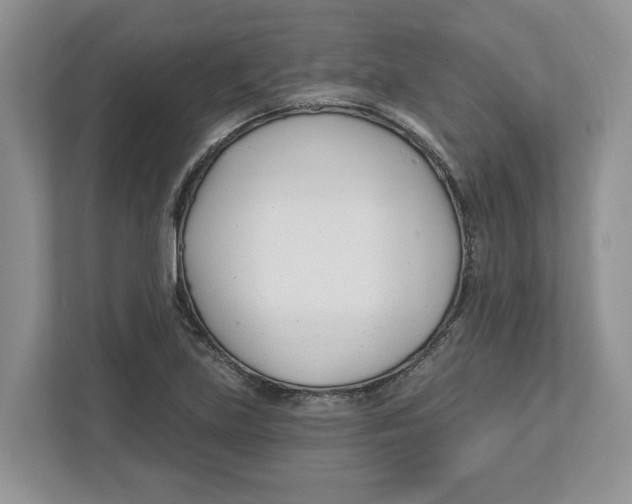 X0000112461219200909141051
