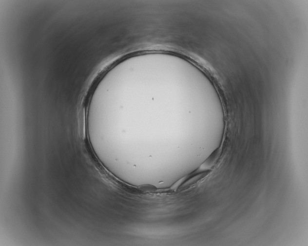 X0000112461223200909141051